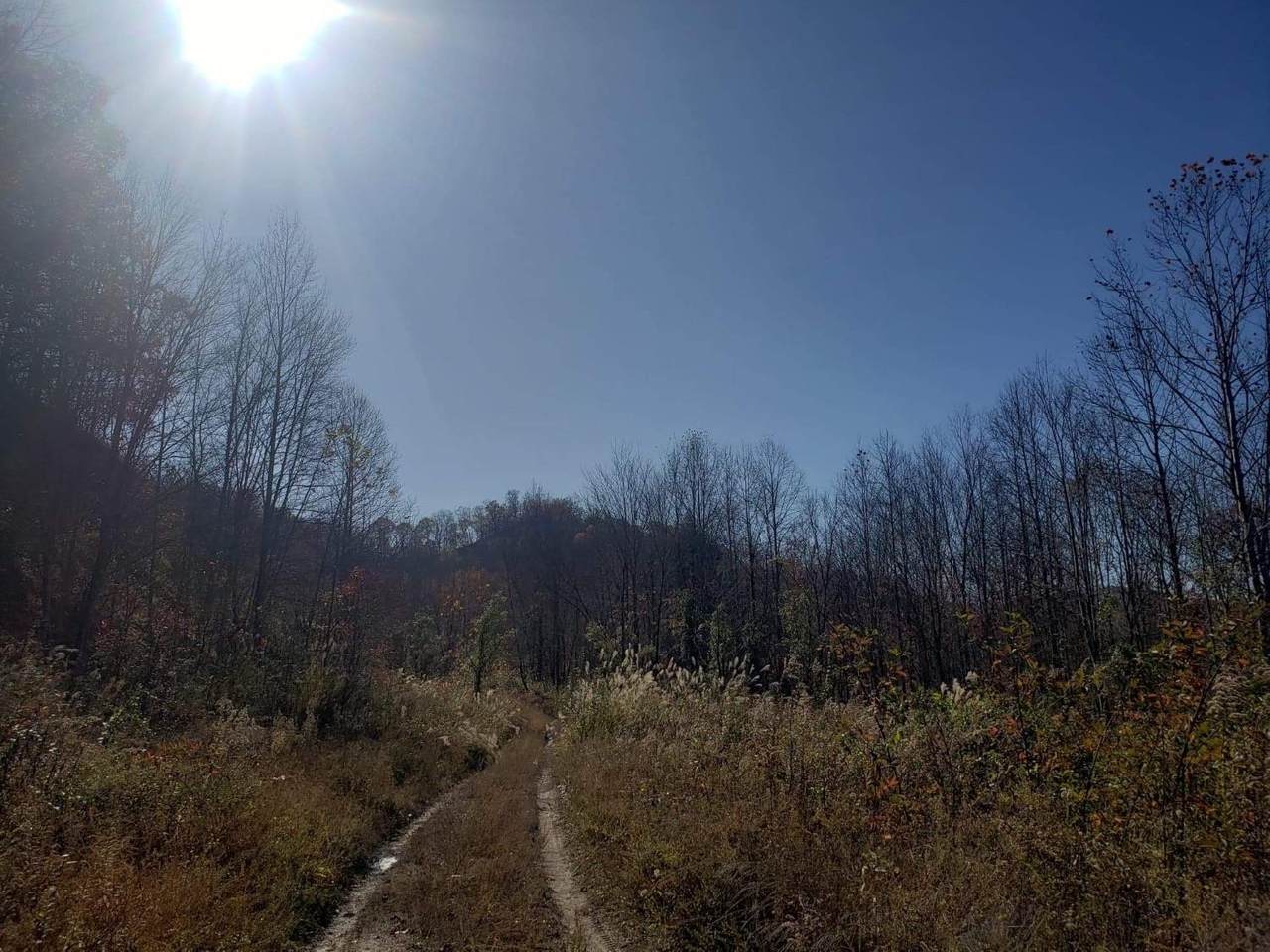 351 Parks Branch Road - Photo 1