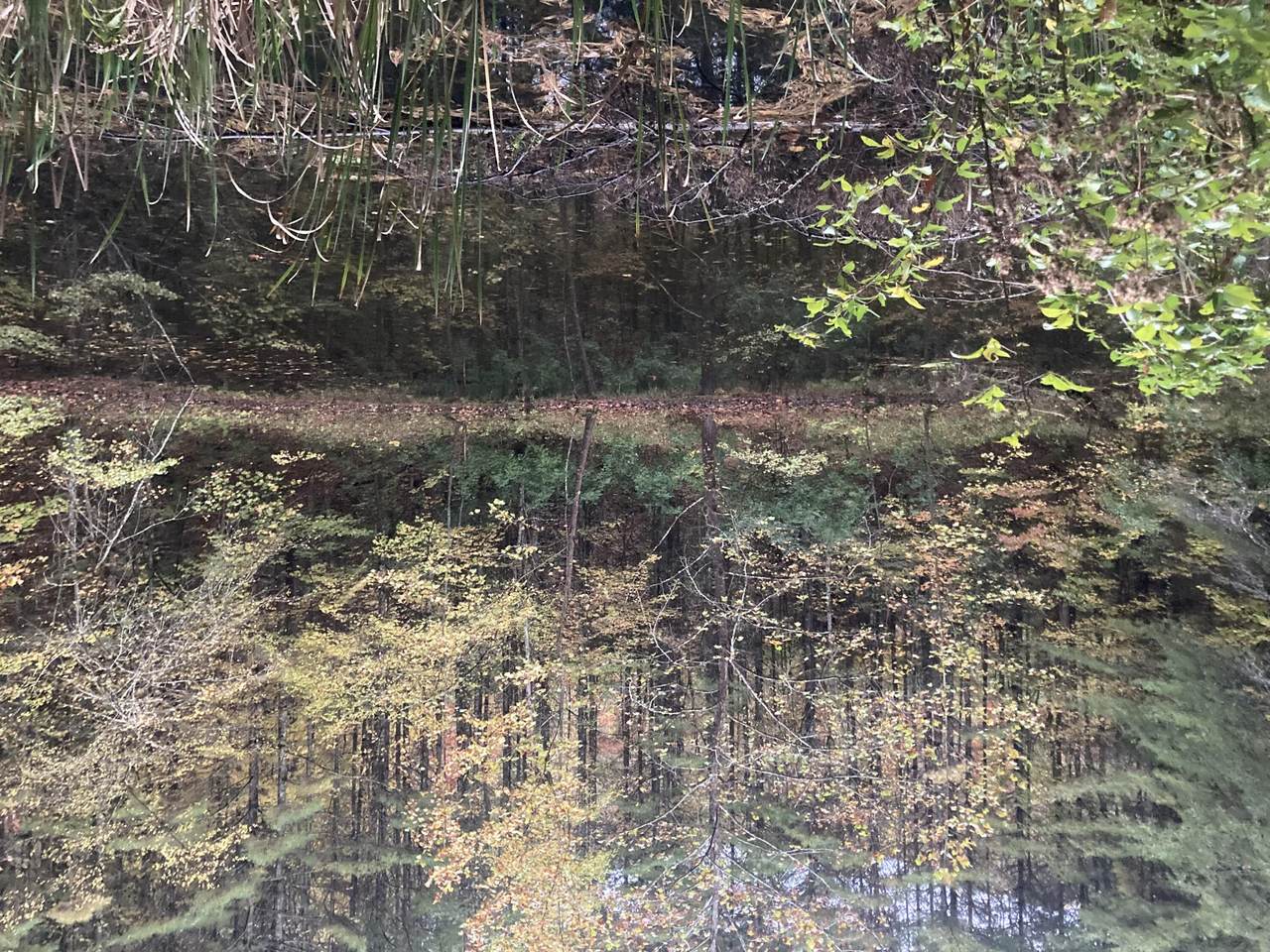 175 Sandlin Cemetery Road - Photo 1