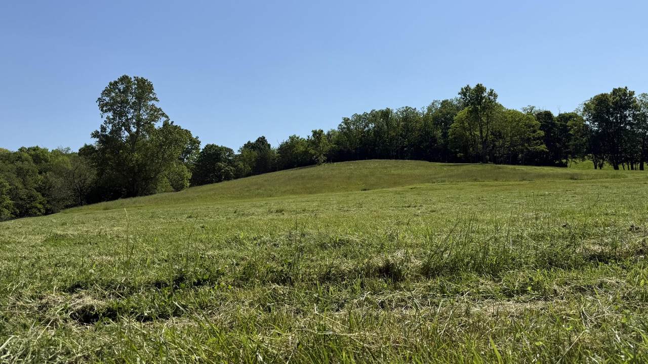 https://bt-photos.global.ssl.fastly.net/lexington/1280_boomver_3_20260322211717058969000000-2.jpg