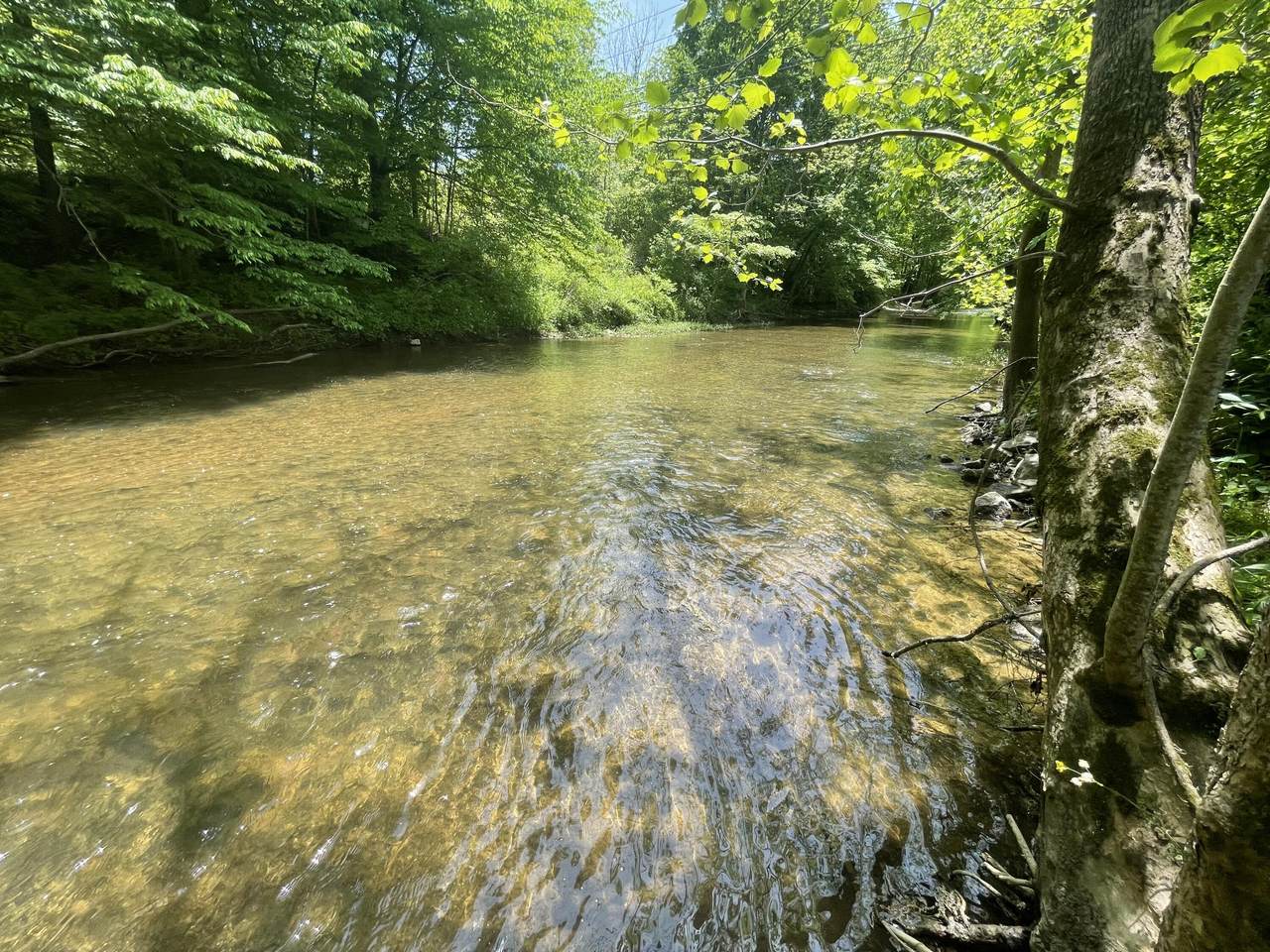 1770 Hwy 39 - Photo 1