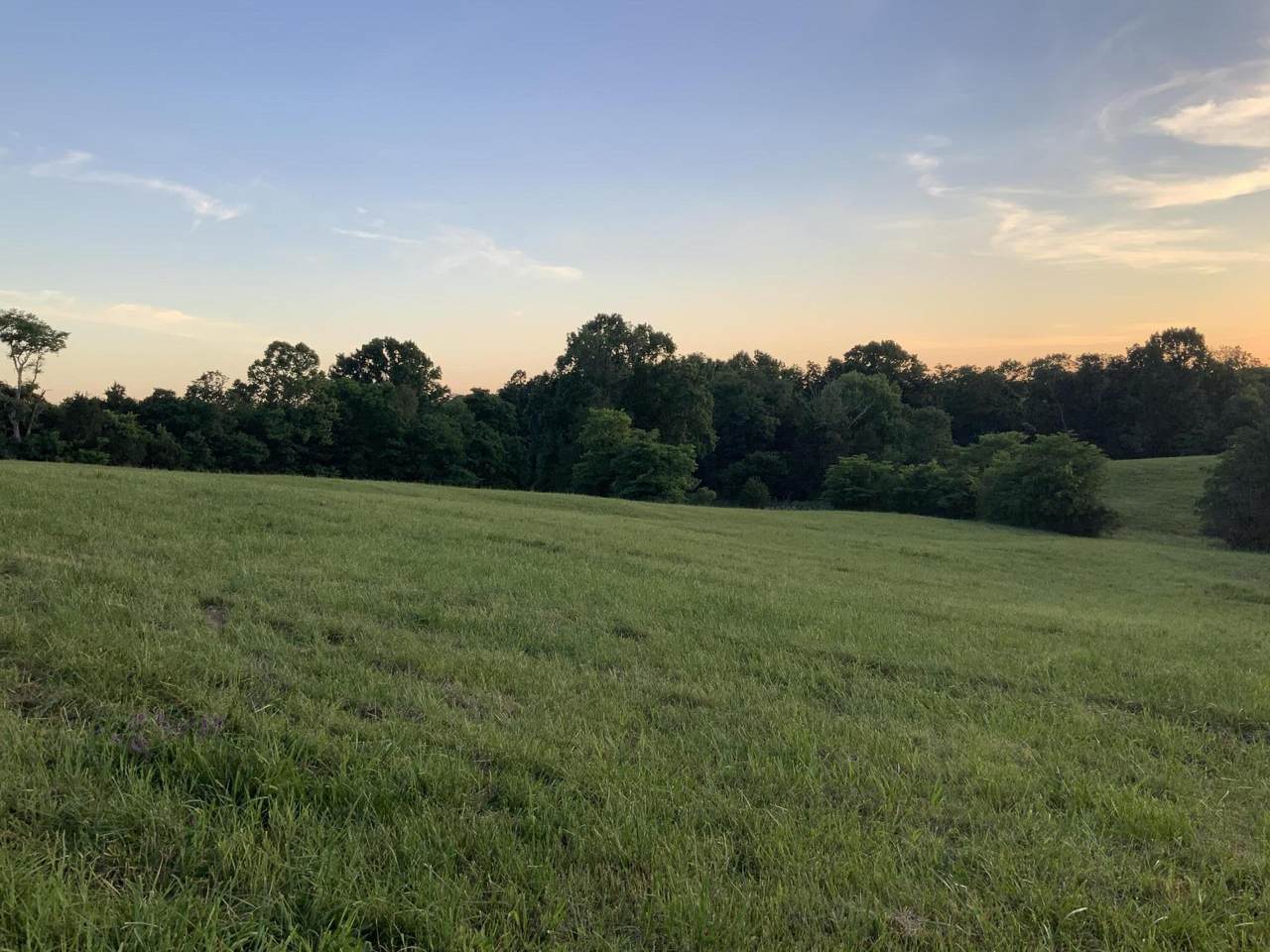 1721 Mill Creek Pike - Photo 1