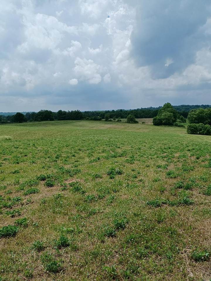 112 Two Horseshoes Road - Photo 1