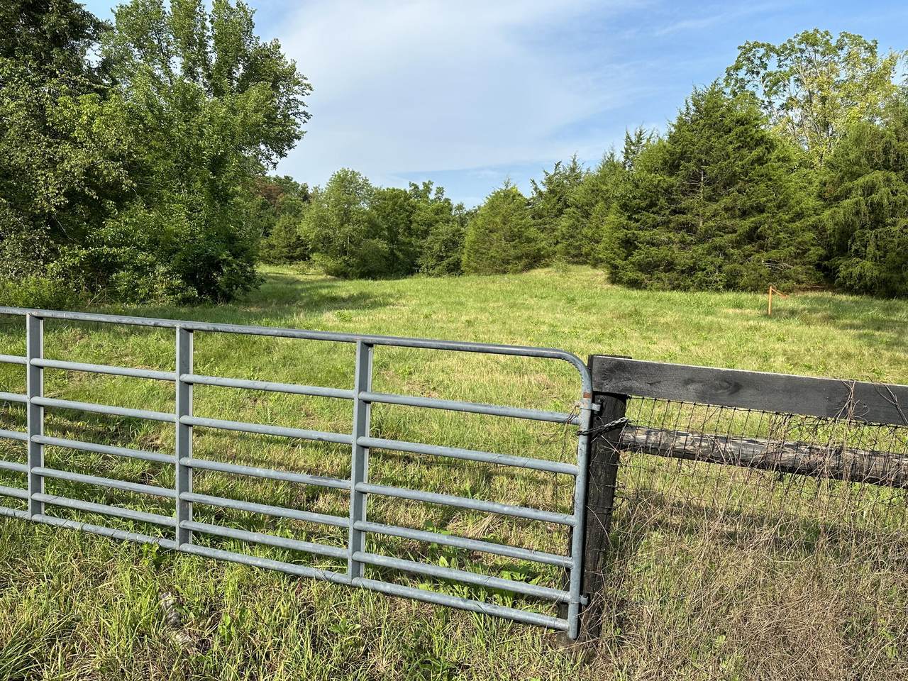 4948 Muddy Ford Road - Photo 1