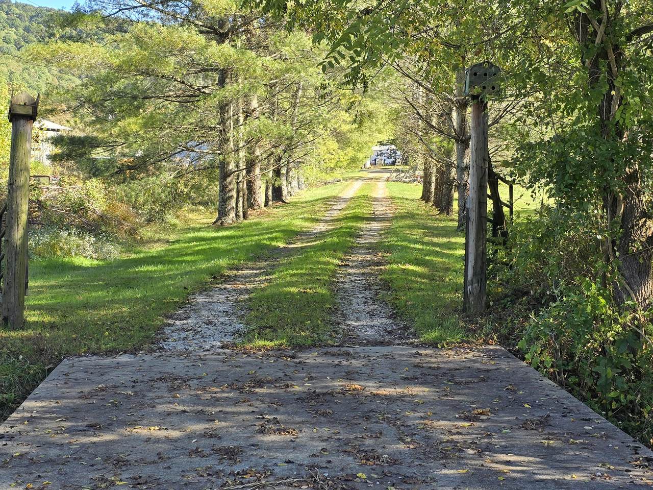 163 Eulett Lane - Photo 1