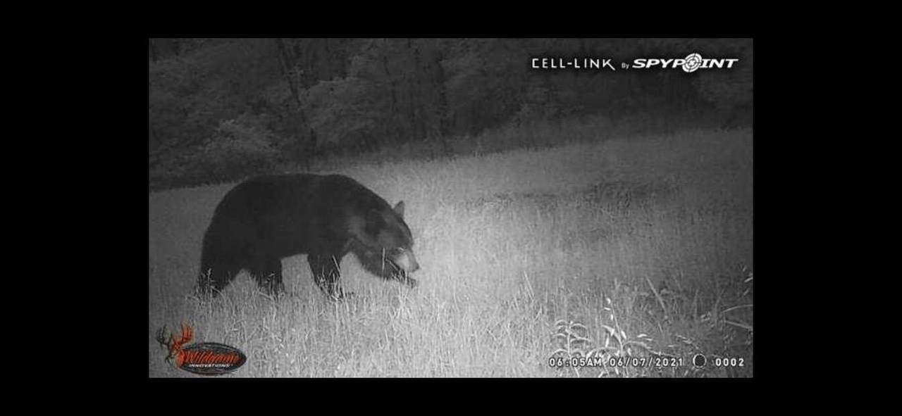 0 Highway 599 - Photo 1