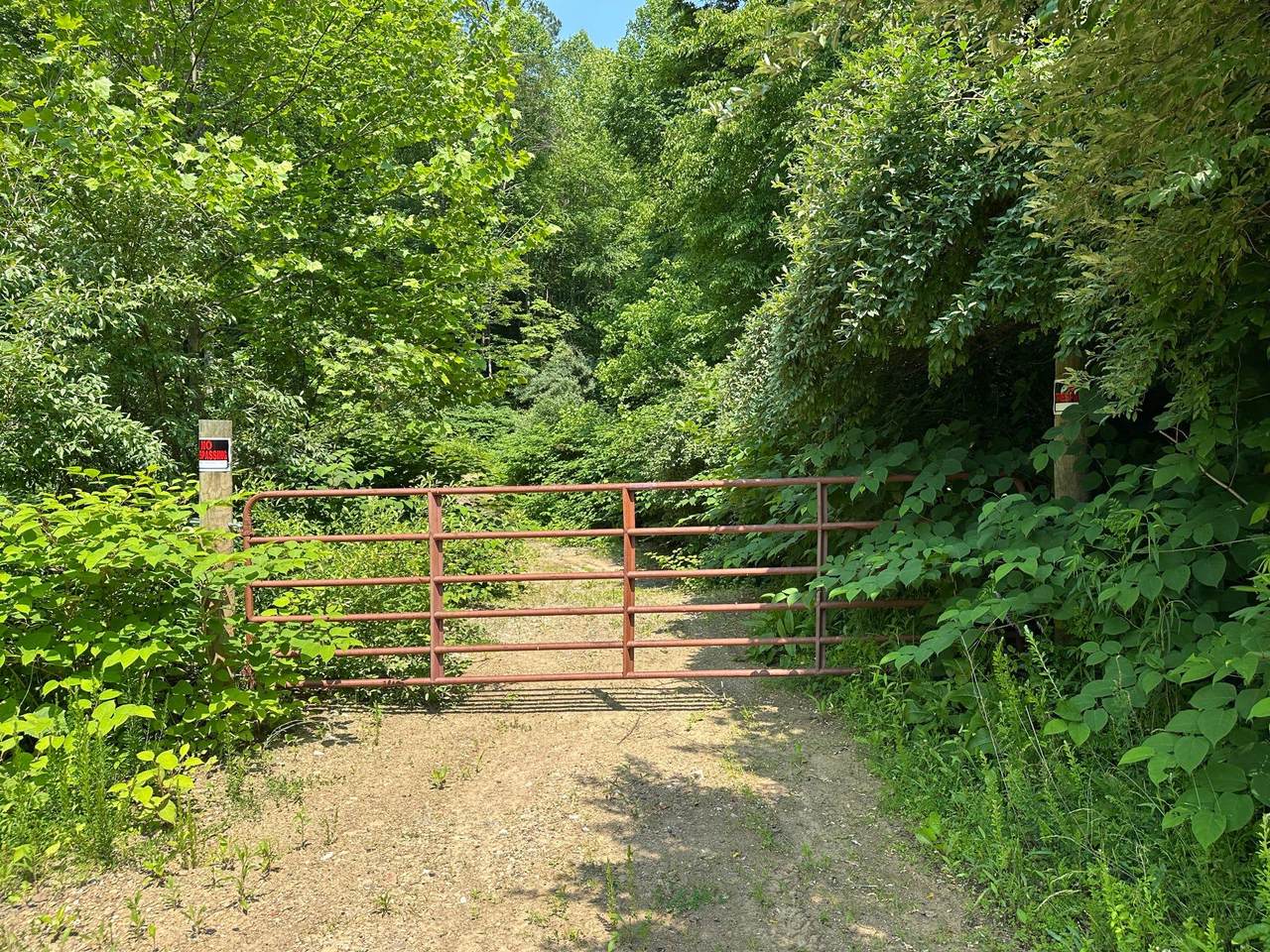 450 Ky Hwy 542 - Photo 1