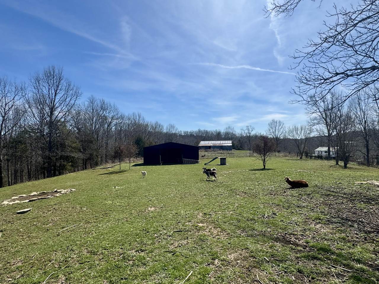 1245 Turner Road - Photo 1