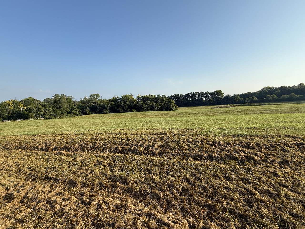 131 Hyde Park Lane - Photo 1