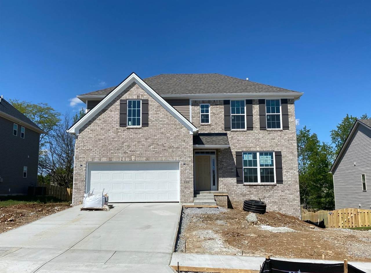 230 Showalter Drive - Photo 1