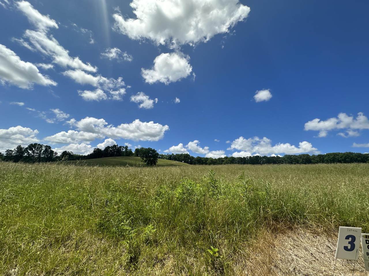 2603 Mount Zion Road - Photo 1