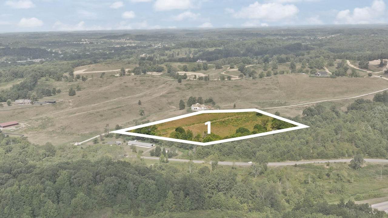 Tract 1 Pittsburg Landing Road - Photo 1