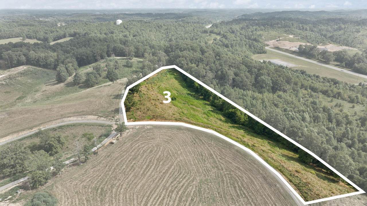 Tract 3 Pittsburg Landing Road - Photo 1