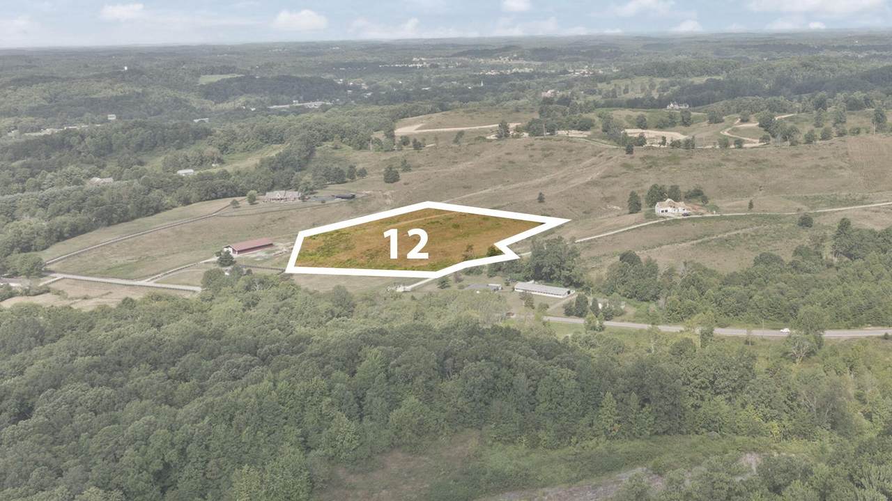 Tract 12 Pittsburg Landing Road - Photo 1