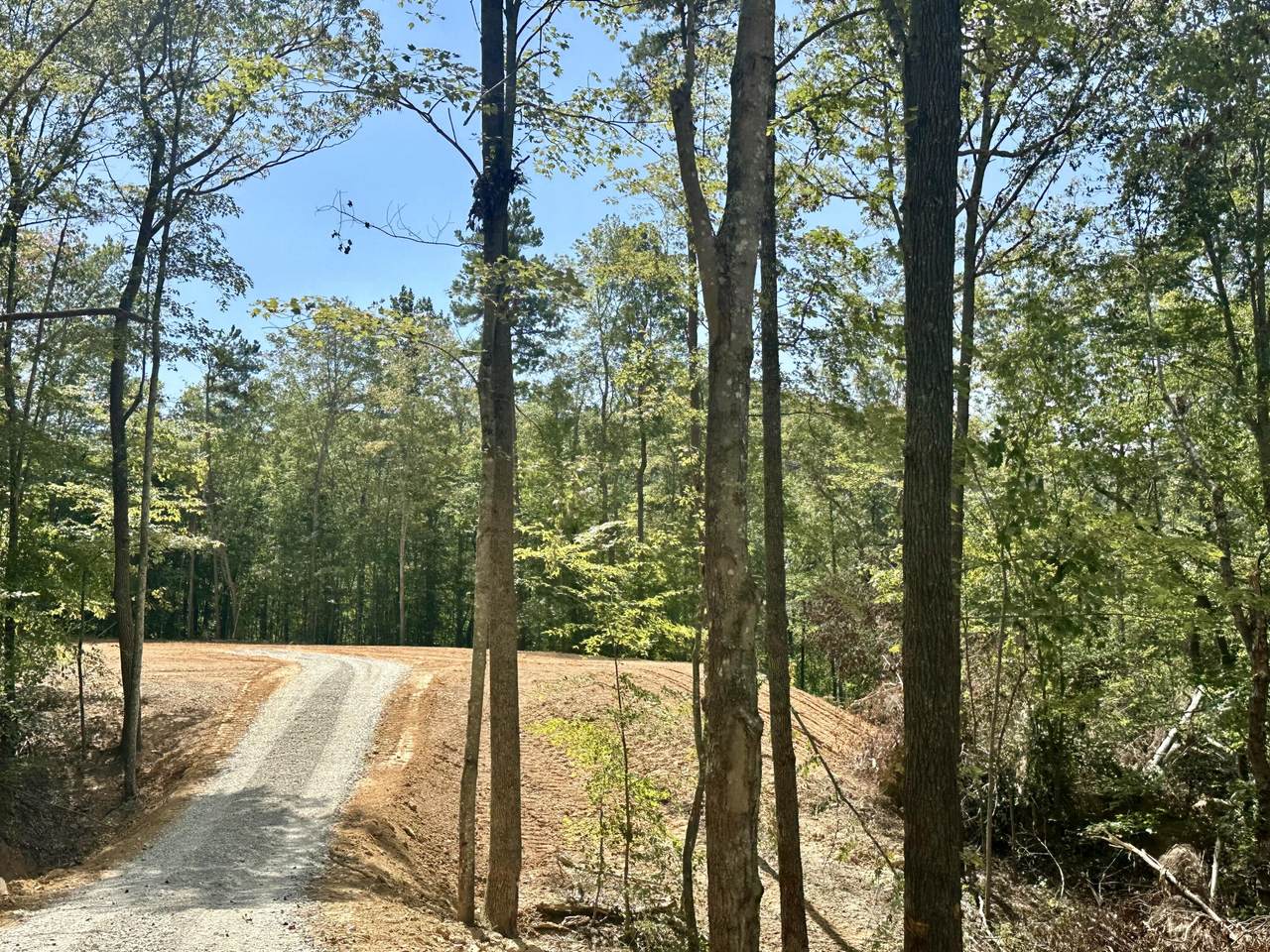 424    tract 2 577 Highway - Photo 1