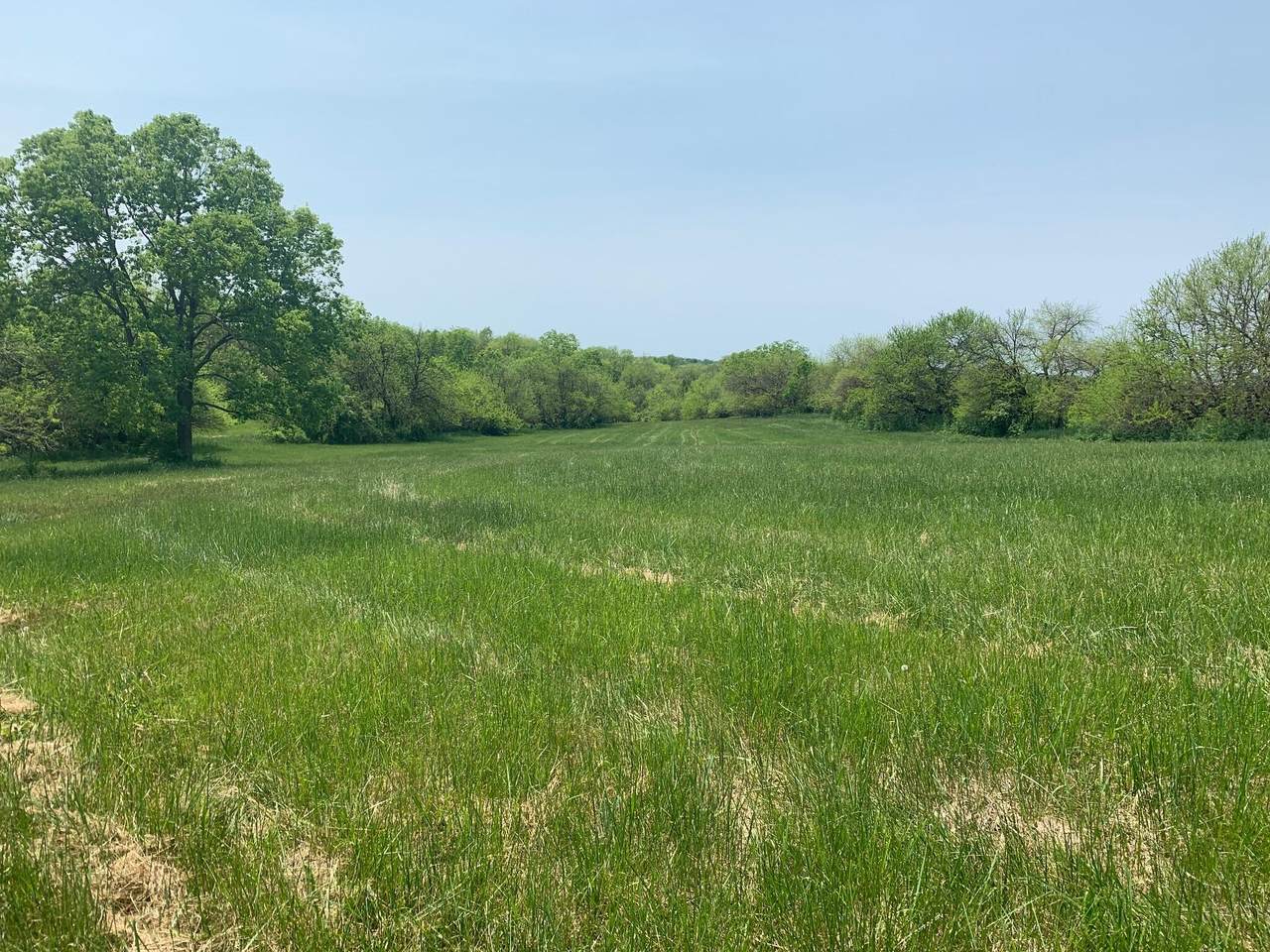 2503 Ky Hwy 356 - Photo 1