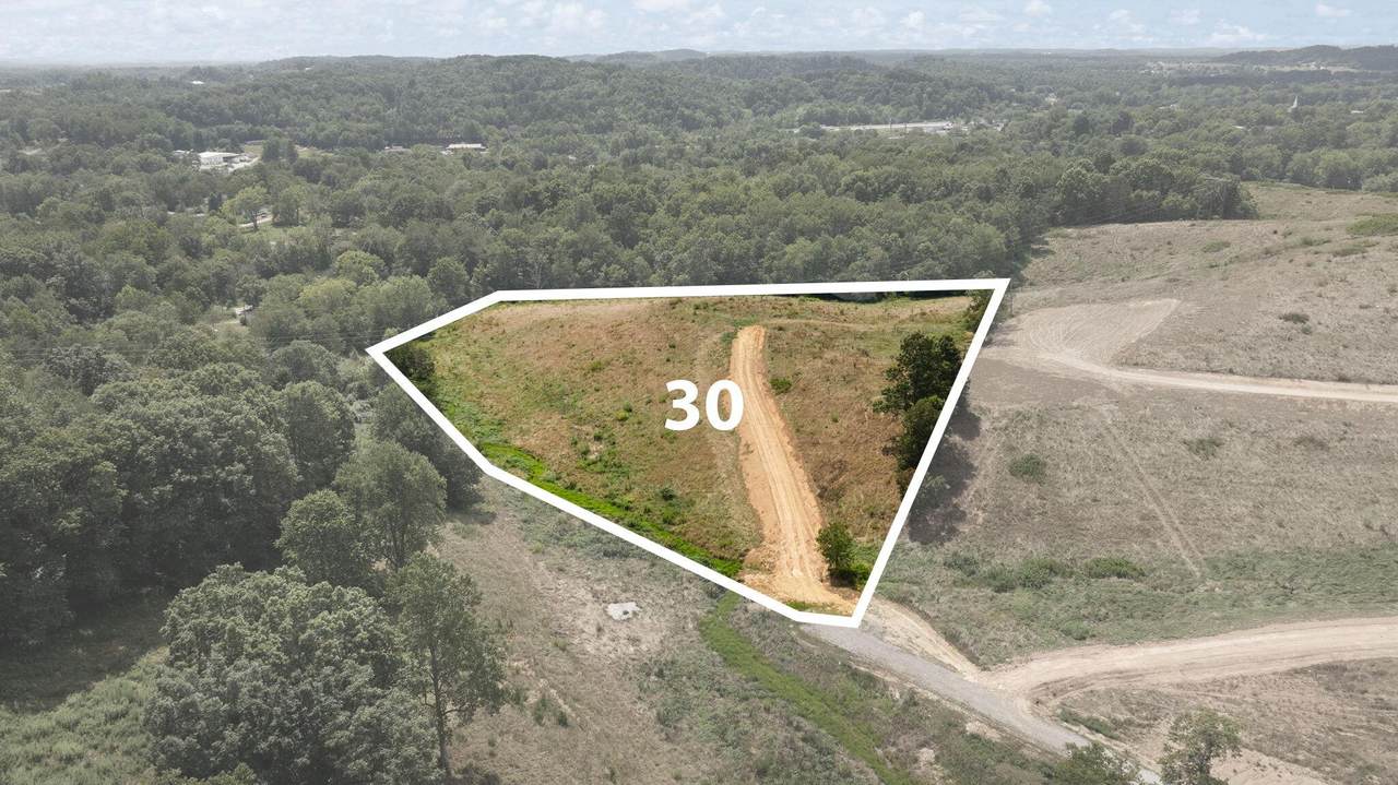 Tract 30 Pittsburg Landing Road - Photo 1