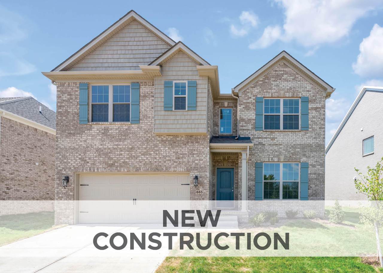665 Sunny Landing Trail - Photo 1