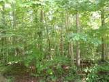Tract 1 Off Green Stable Lane Lane - Photo 3