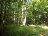 Tract 1 Off Green Stable Lane Lane - Photo 6