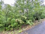 0 Boone Ridge Trail - Photo 2