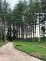 465 Anderson Cemetry Road - Photo 65