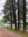 465 Anderson Cemetry Road - Photo 66