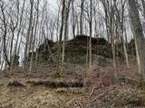 240 Dale Hollow Road - Photo 5