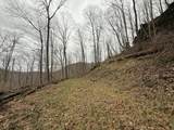 240 Dale Hollow Road - Photo 6