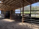 1066 Duncan Valley Road Road - Photo 73