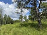 424-Tract 6 577 Highway - Photo 1