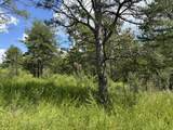 424-Tract 6 577 Highway - Photo 12
