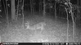 700 Clay Camp Road - Photo 86