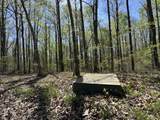 Lot 128 Sandstone Point - Photo 11