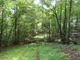 Tract 1 Off Green Stable Lane Lane - Photo 1