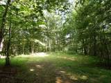 Tract 1 Off Green Stable Lane Lane - Photo 4