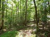 Tract 1 Off Green Stable Lane Lane - Photo 5