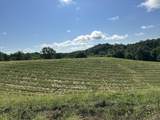 Tract 1 Pittsburg Landing Road - Photo 21