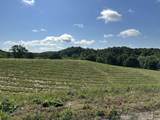 Tract 1 Pittsburg Landing Road - Photo 22