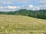 Tract 1 Pittsburg Landing Road - Photo 5