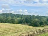 Tract 1 Pittsburg Landing Road - Photo 6