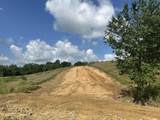 Tract 30 Pittsburg Landing Road - Photo 6