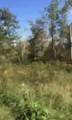 Lot # 39 Buck Creek Circle - Photo 2