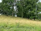 Tract 24 Hawk Landing Road - Photo 17