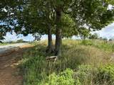 Tract 11 Eagle Landing Road - Photo 12