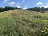 Tract 5 Hawk Landing Road - Photo 17