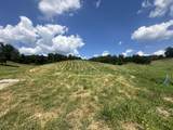 Tract 5 Hawk Landing Road - Photo 19