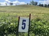 Tract 5 Hawk Landing Road - Photo 5