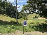 Tract 16 Pittsburg Landing Road - Photo 10