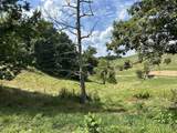 Tract 16 Pittsburg Landing Road - Photo 16