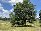 Tract 16 Pittsburg Landing Road - Photo 18